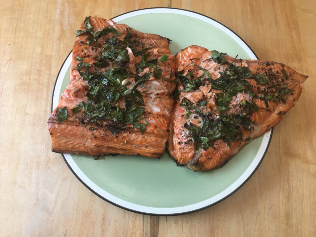 A gilled piece of salmon fillet on a green plate decoratively seasoned with fresh herbs.