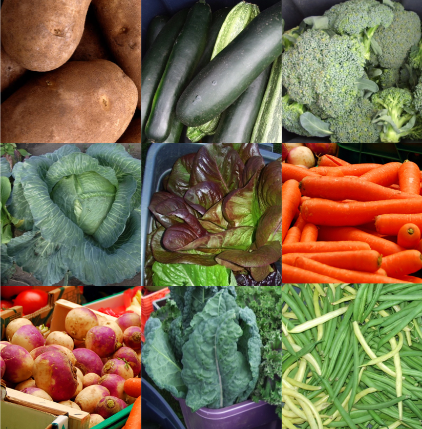 Thumbnails of various crops that grow well in Alaska, including: Potato, zucchini, carrots, broccoli, beans, cabbage etc.es,