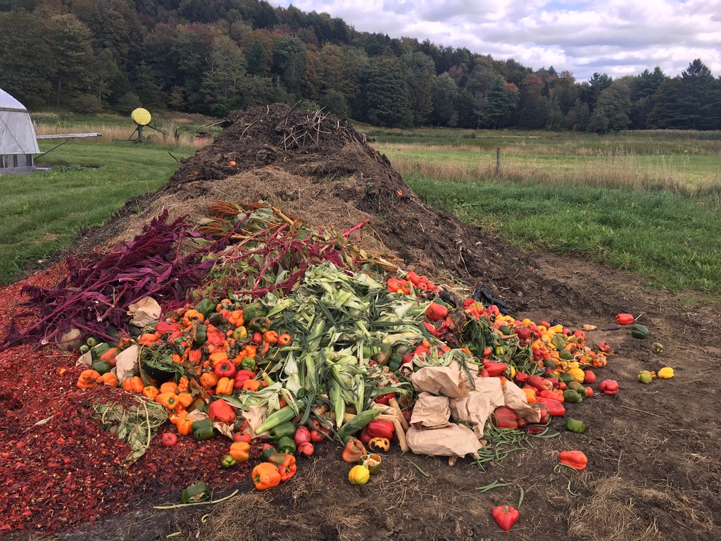 a large compost pile with peppers and amaranth and paper bags