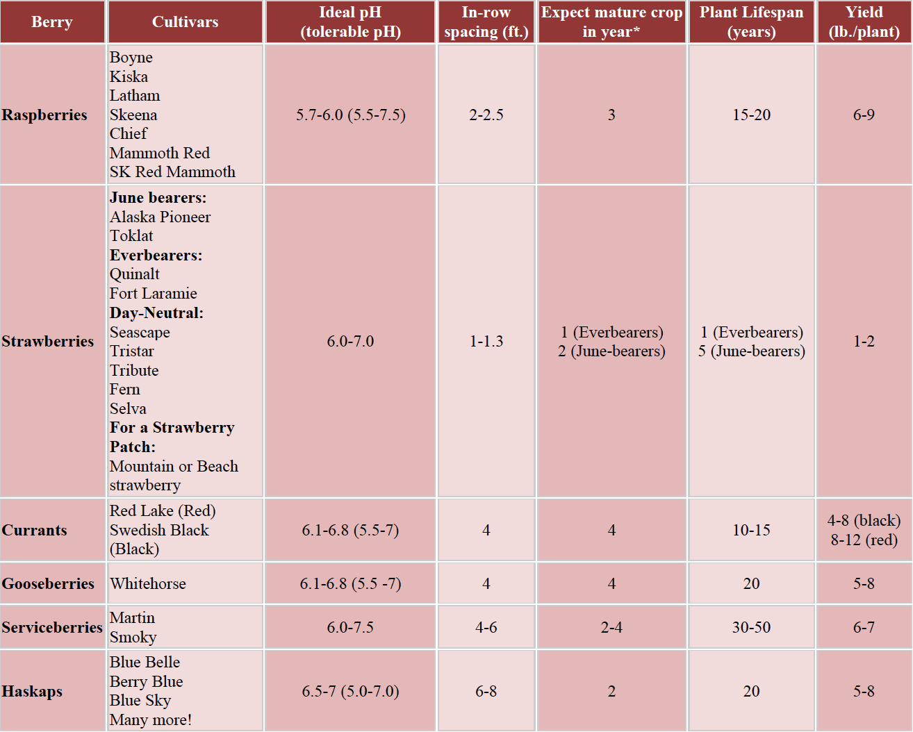 Table indicating maturity, life span and yield of different berry bushes.