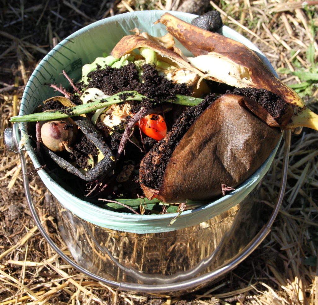 a bucket of compostable items from the kitchen