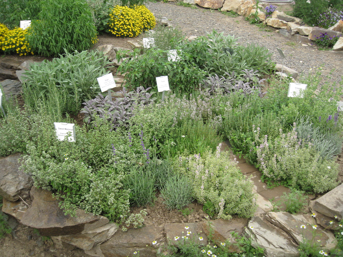 a variety of herbs planted, bordered by rocks.