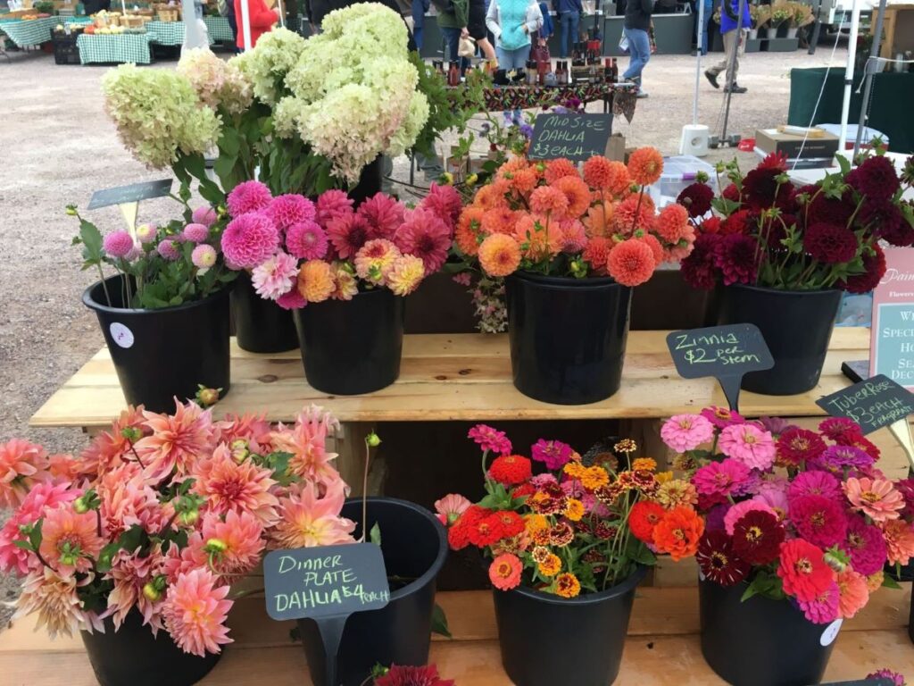 buckets of dahlias and zinnias in a market display
