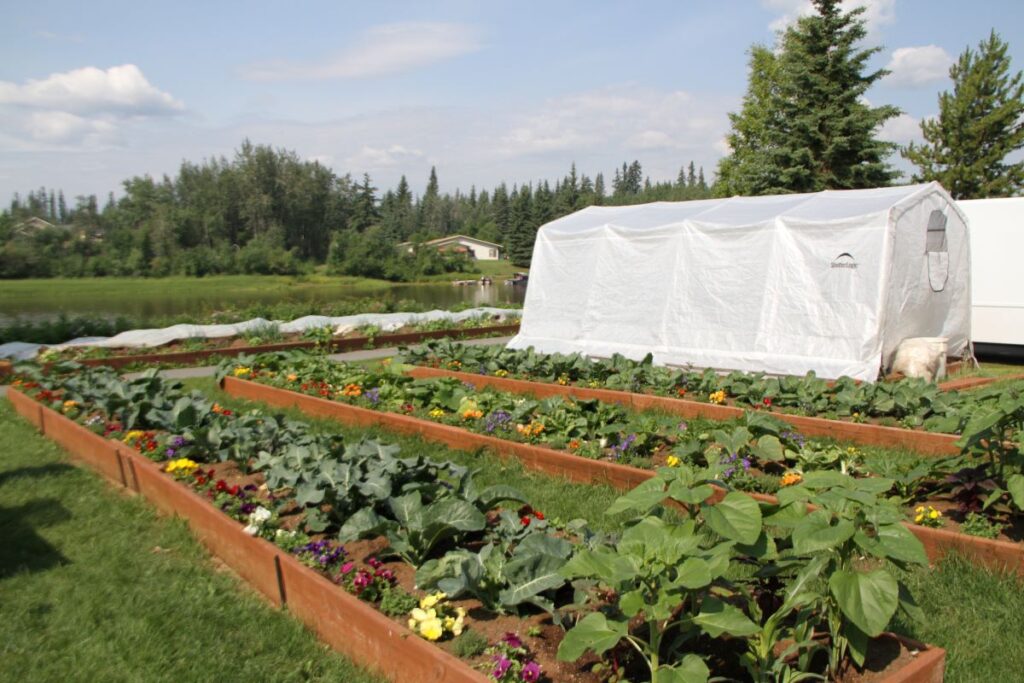 long raised beds made with wood. River in the background