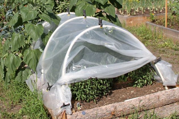 pvc hoop house over a raised bed.