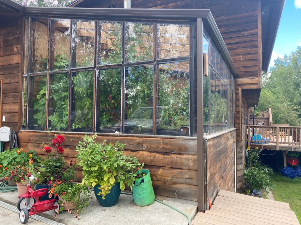 attached greenhouse with lots of plants growing