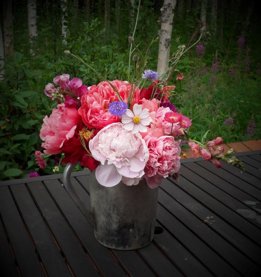 boquet with peony comsos and bachelor button in silver pitcher.