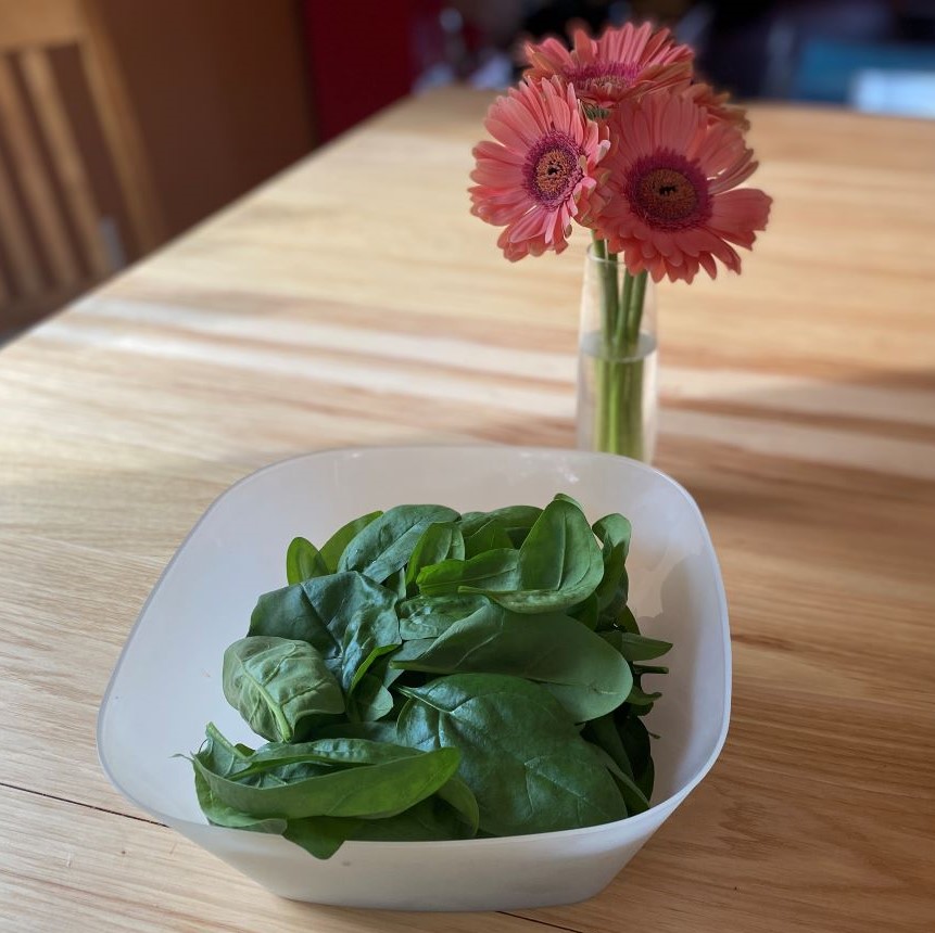 bowl of large leafed spinach with pink gerbera daisies in the background
