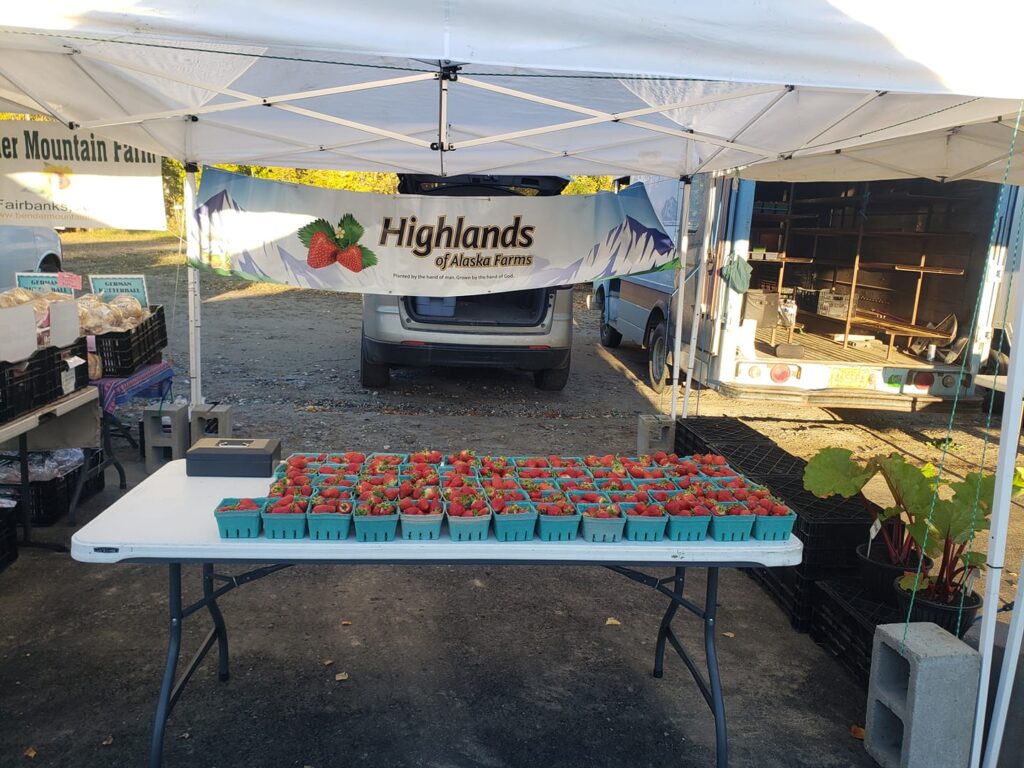 strawberries on a table in green baskets with highland farms sign, 