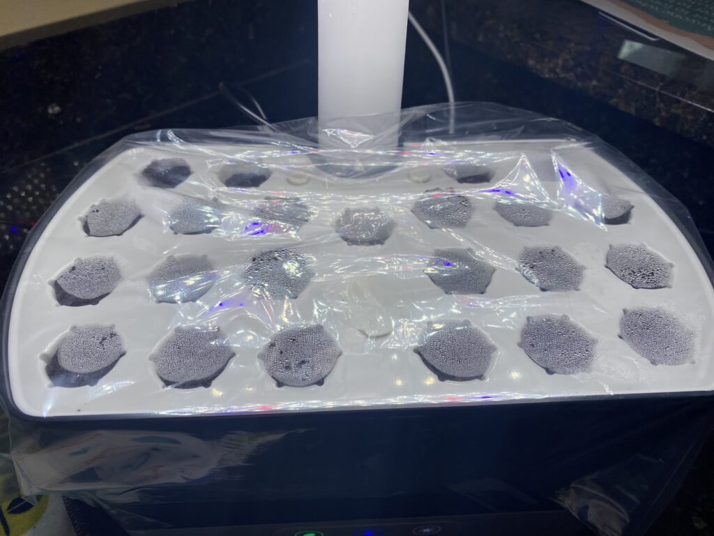 starting seeds in an aerogarden. with plastic over it