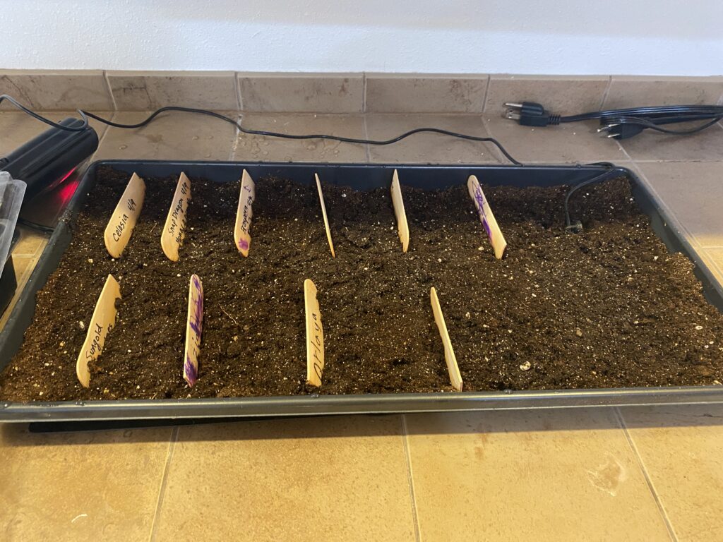 tray of soil and tags