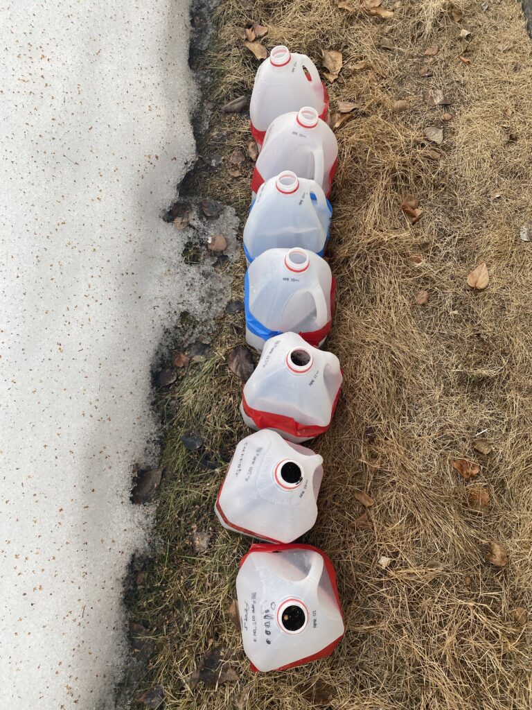 milk jugs next to snow and lawn