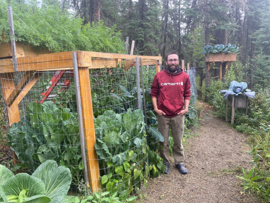 Jeff in red sweatshirt next to fenced garden full of brassicas