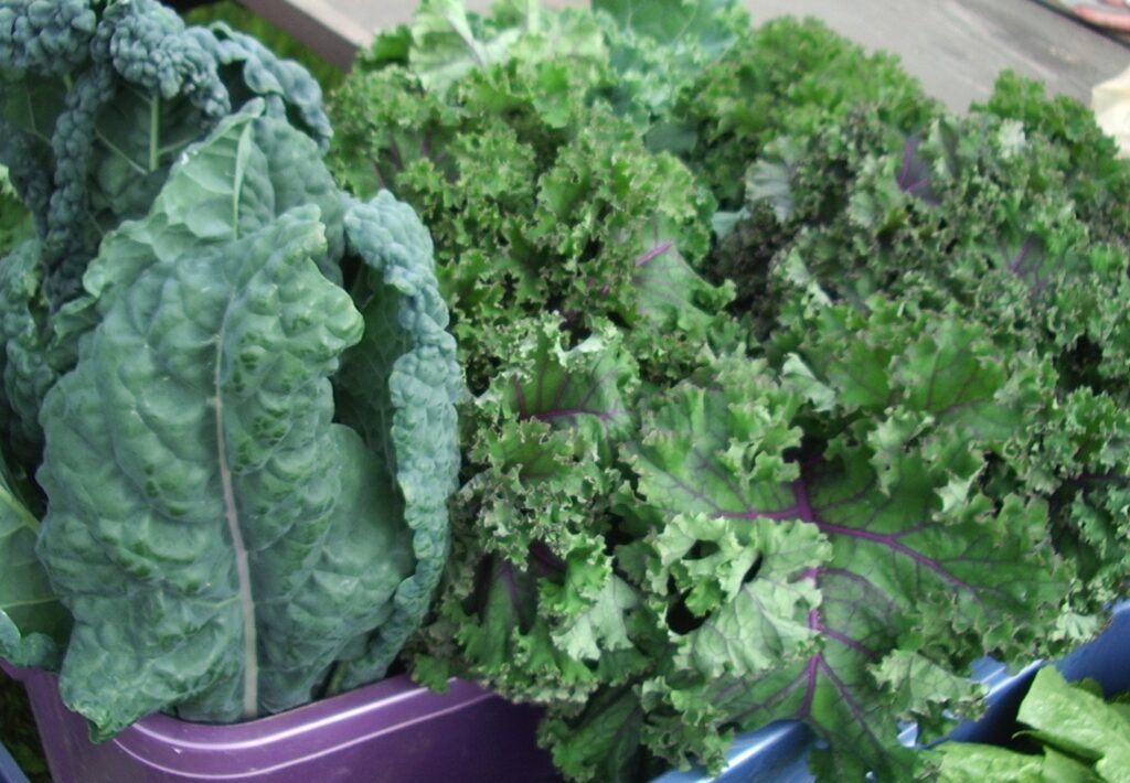 kale in a bucket