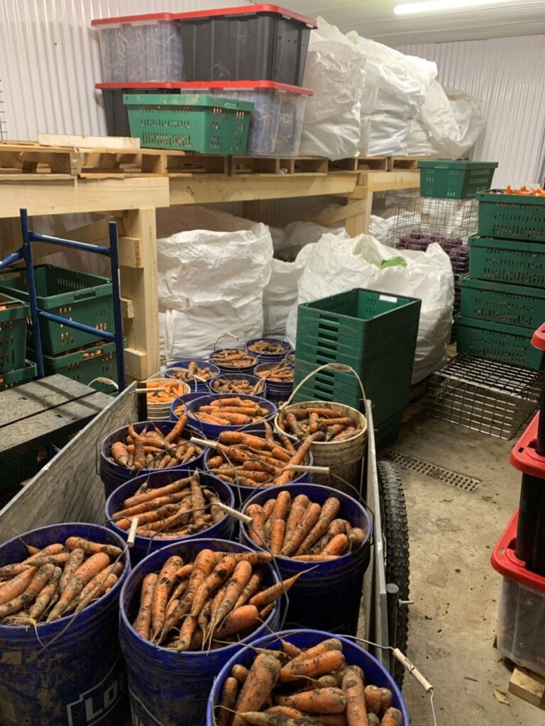 buckets of carrots, bins, and large bags inside the storage facility