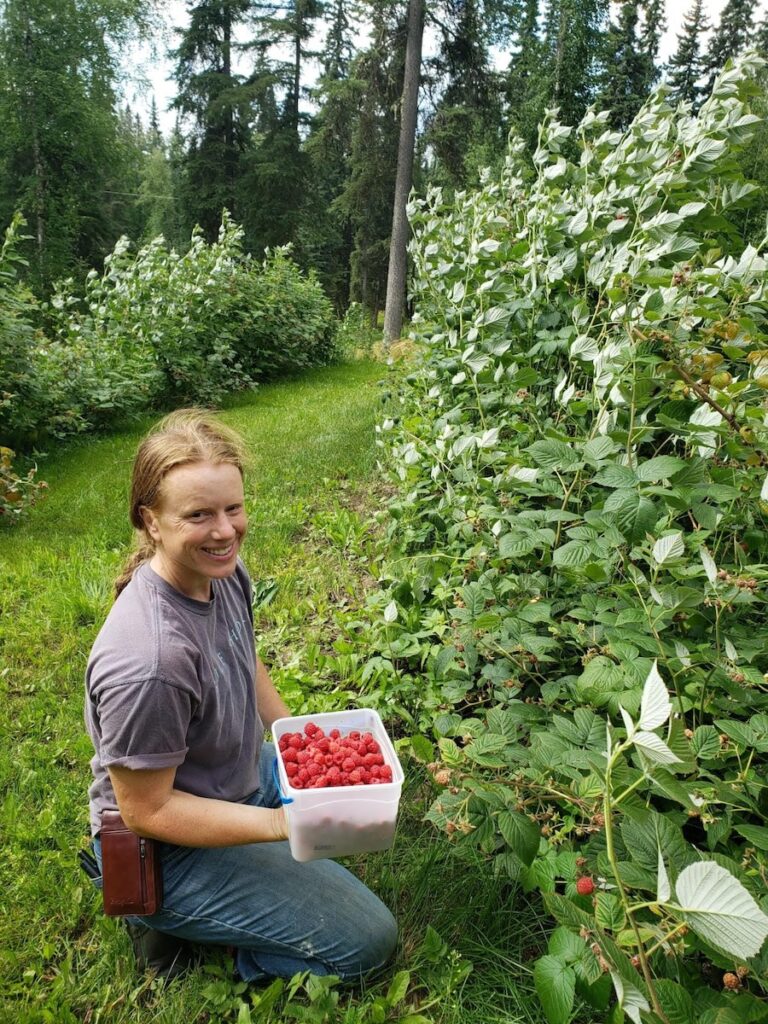 Charlotte with a container of raspberries that have been harvested.